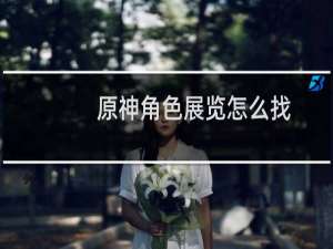 原神角色展览怎么找