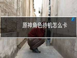 原神角色待机怎么卡