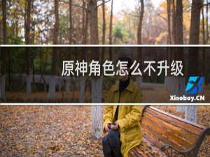 原神角色怎么不升级