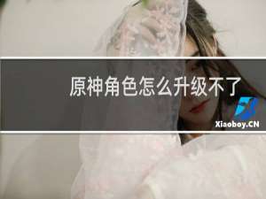 原神角色怎么升级不了