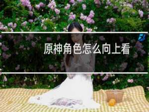 原神角色怎么向上看