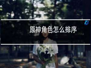 原神角色怎么排序