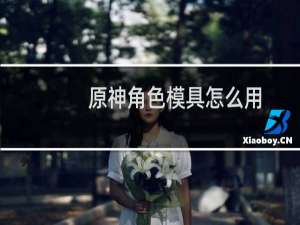 原神角色模具怎么用