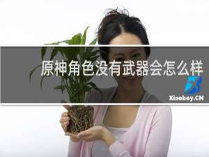 原神角色没有武器会怎么样