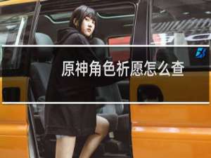 原神角色祈愿怎么查