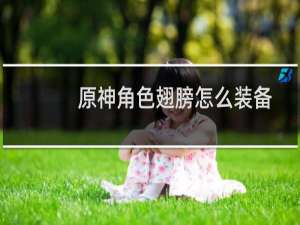 原神角色翅膀怎么装备