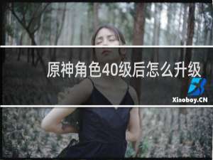 原神角色40级后怎么升级