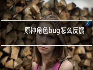 原神角色bug怎么反馈