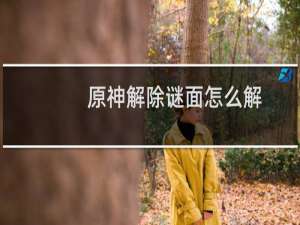 原神解除谜面怎么解