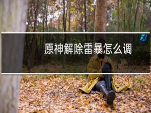 原神解除雷暴怎么调