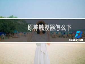 原神触摸器怎么下
