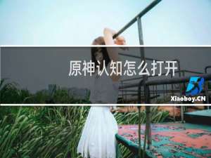 原神认知怎么打开