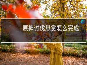 原神讨伐悬赏怎么完成