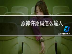 原神许愿码怎么输入