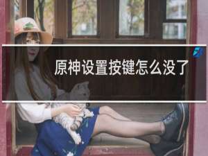 原神设置按键怎么没了
