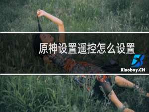 原神设置遥控怎么设置