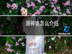 原神该怎么介绍