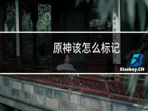 原神该怎么标记