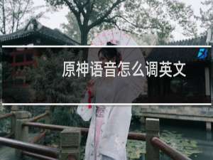 原神语音怎么调英文