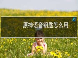 原神语音钥匙怎么用