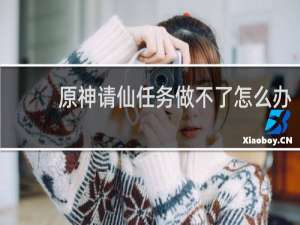 原神请仙任务做不了怎么办