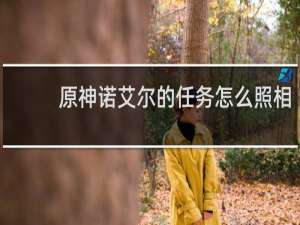 原神诺艾尔的任务怎么照相