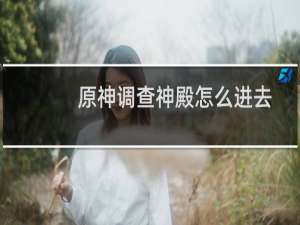 原神调查神殿怎么进去