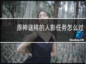 原神谜样的人影任务怎么过