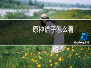 原神谱子怎么看