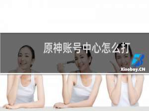 原神账号中心怎么打