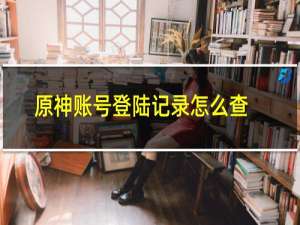 原神账号登陆记录怎么查