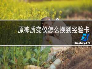 原神质变仪怎么换到经验卡
