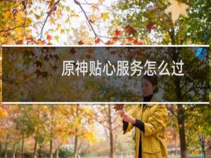 原神贴心服务怎么过