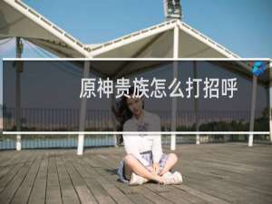 原神贵族怎么打招呼