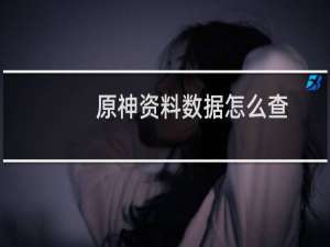 原神资料数据怎么查