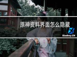 原神资料界面怎么隐藏