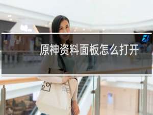 原神资料面板怎么打开