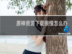 原神资源下载很慢怎么办
