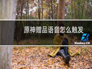 原神赠品语音怎么触发