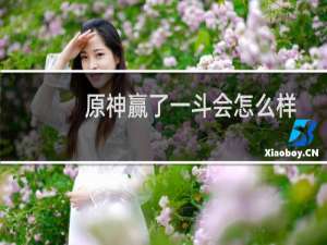 原神赢了一斗会怎么样