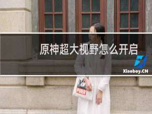 原神超大视野怎么开启