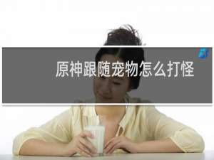 原神跟随宠物怎么打怪