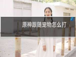 原神跟随宠物怎么打