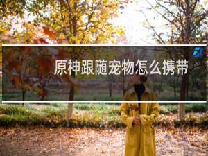 原神跟随宠物怎么携带