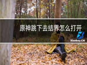 原神跳下去结界怎么打开