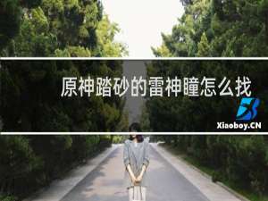 原神踏砂的雷神瞳怎么找