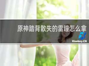 原神踏背散失的雷瞳怎么拿