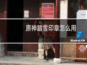 原神踏雪印章怎么用