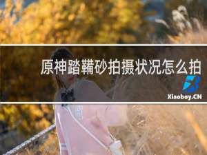 原神踏鞴砂拍摄状况怎么拍