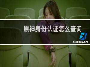 原神身份认证怎么查询
